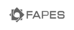 Foundation for Assistance and Social Security of BNDES (FAPES)